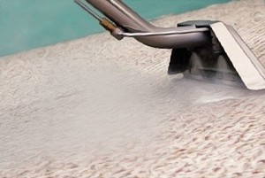 carpet steam cleaning